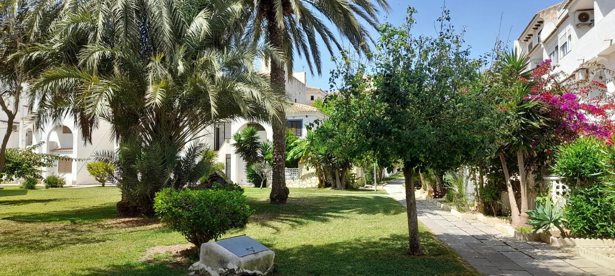 Apartment Los Locos Beach With Balcony And Wi-Fi 托雷维耶哈 外观 照片