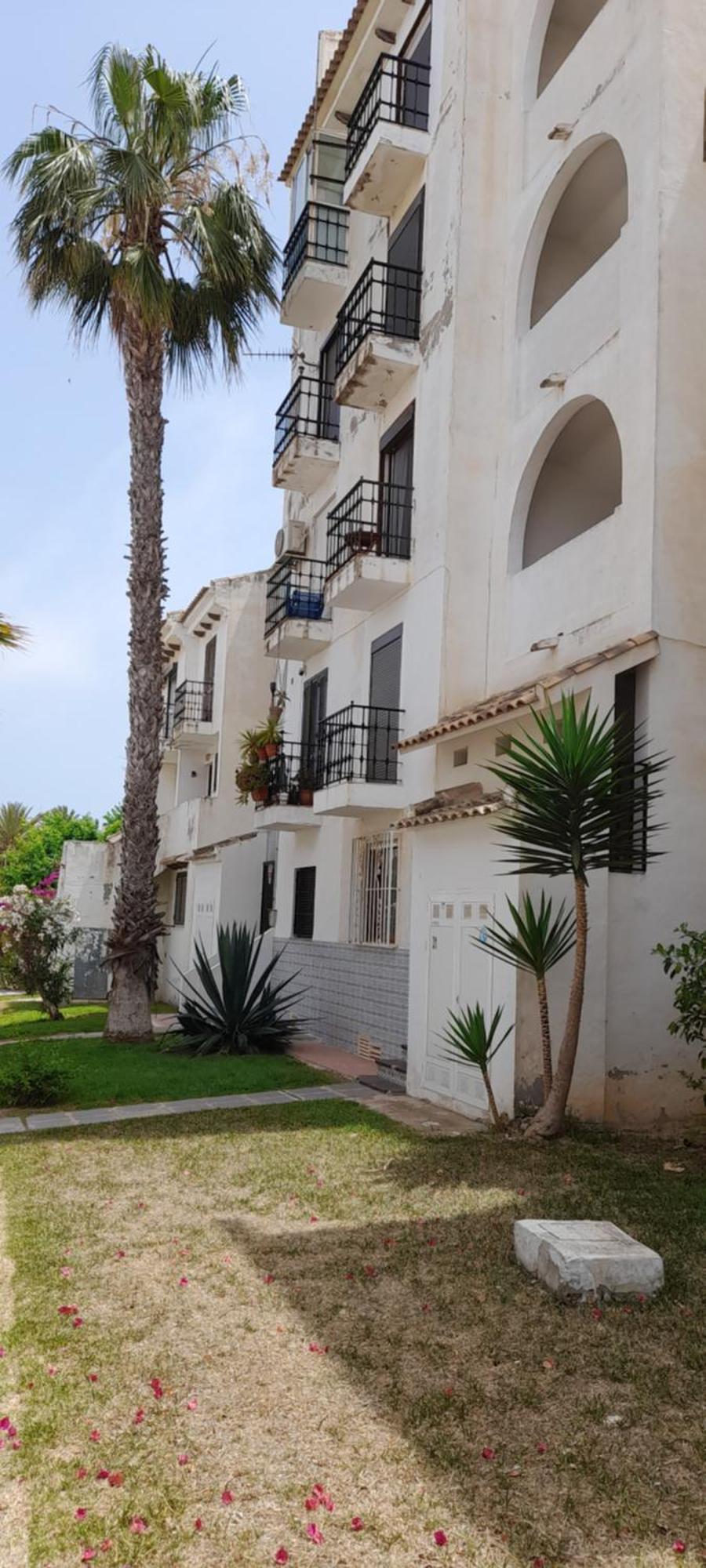 Apartment Los Locos Beach With Balcony And Wi-Fi 托雷维耶哈 外观 照片